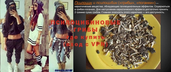 дживик Покров