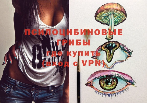 дживик Покров