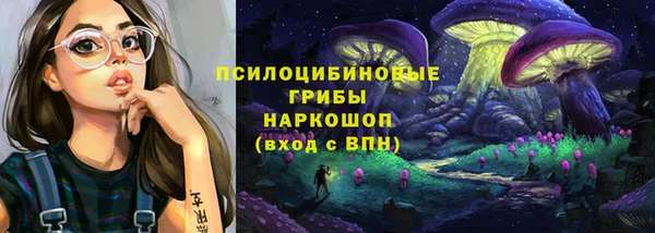 ALPHA PVP Покачи