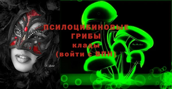 ALPHA PVP Покачи