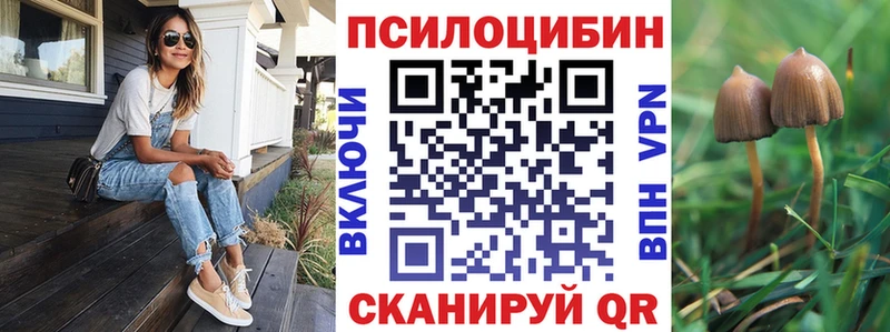 Псилоцибиновые грибы Psilocybe  Дальнереченск 