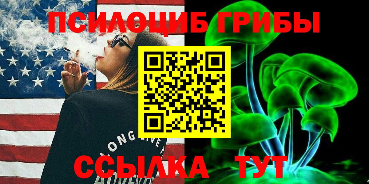 Псилоцибиновые грибы GOLDEN TEACHER  Псилоцибиновые грибы Psilocybe  купить наркотик  Вход с VPN  Дальнереченск 