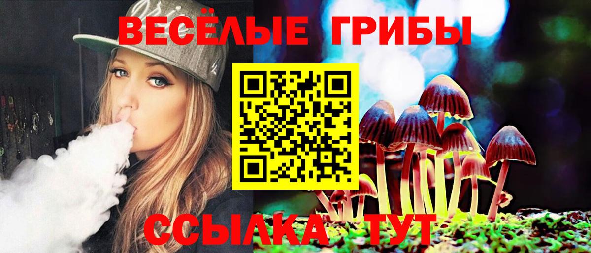 закладки  Дальнереченск  Галлюциногенные грибы прущие грибы  Галлюциногенные грибы ЛСД 