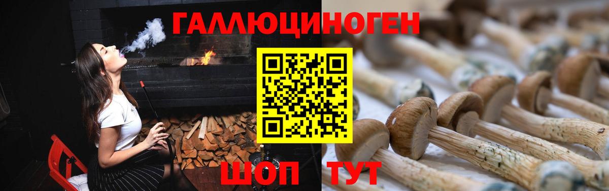 Галлюциногенные грибы Magic Shrooms Дальнереченск